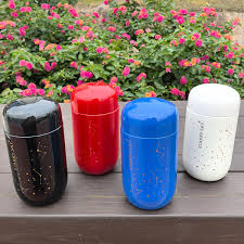 Mini Thermos Isotherme en Acier Inoxydable